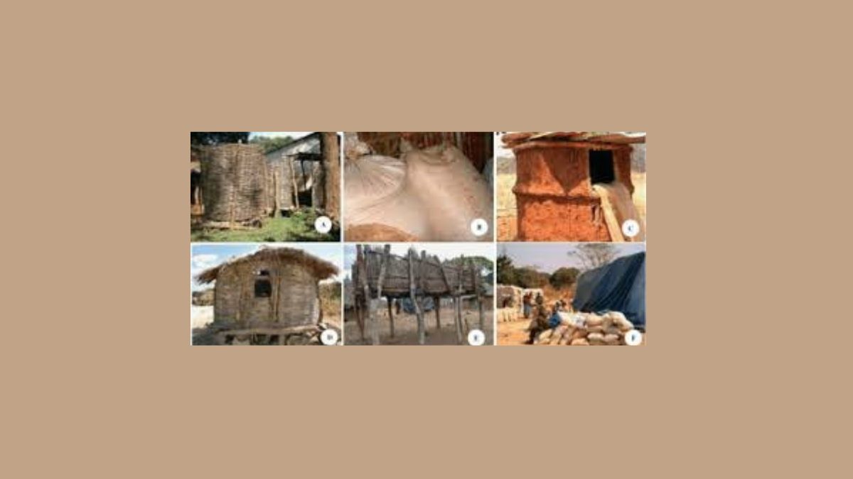 Traditional Storage Methods